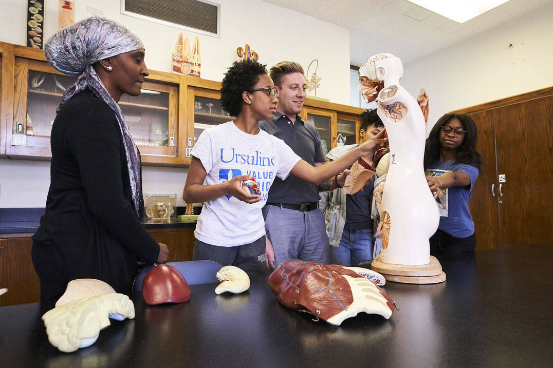 Biology students learn human anatomy